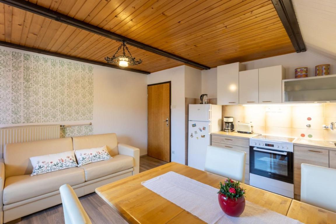 Apartment And Room Mateja Kovacic 보히니 외부 사진